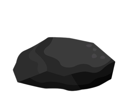 Coal